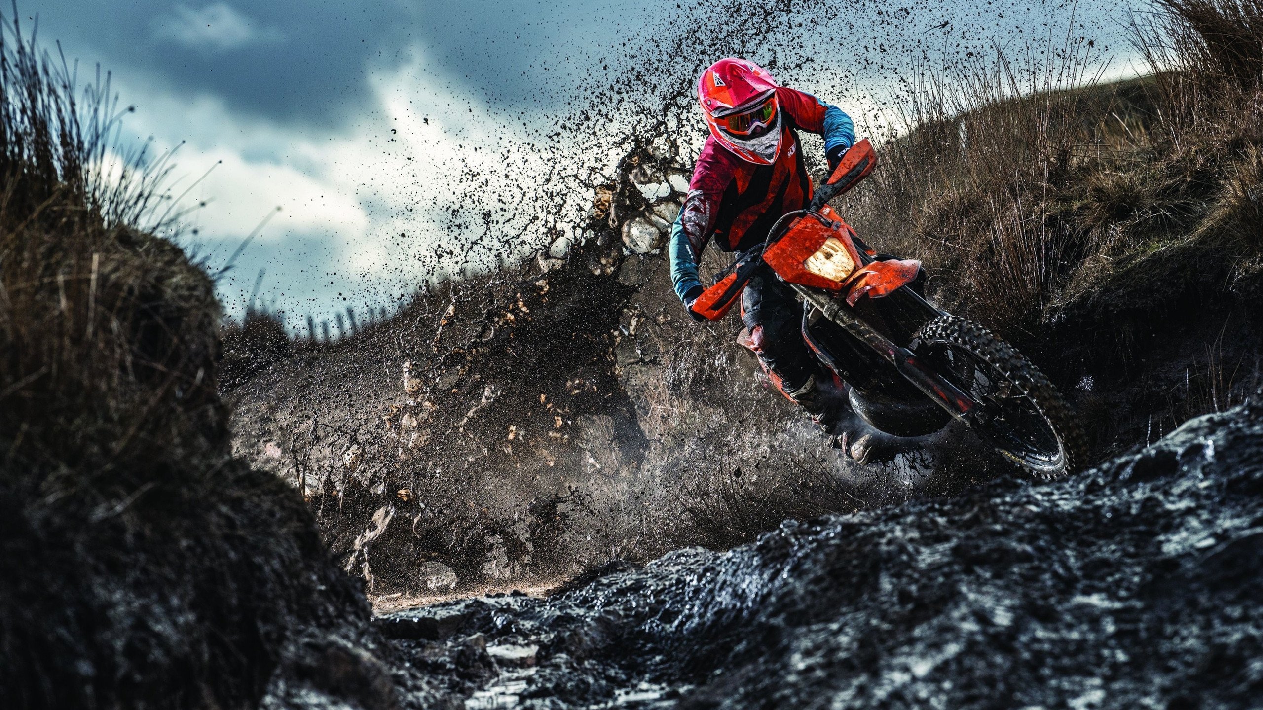 “牛仔3K亲子跑:香港赛道上的家庭欢乐时光”