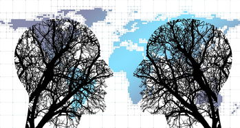 开云网页版登录入口-体育新闻中心协同多方建立体育内容风控机制，体育新闻机构